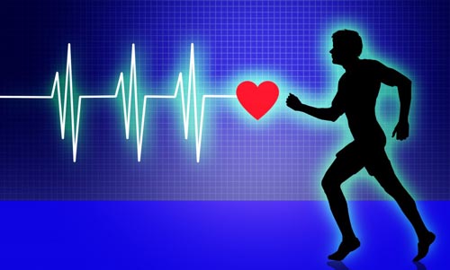 Cardio là gi Các bài tập Cardio giúp cải thiện và hỗ trợ hệ tim mạch