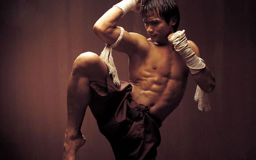 Muay Thái là môn võ gắn liền với tên tuổi của tài tử điện ảnh Tony Yaa