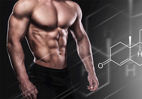 Testosterone tăng cường sinh lý và sức khỏe nam giới _Testosterone là gì